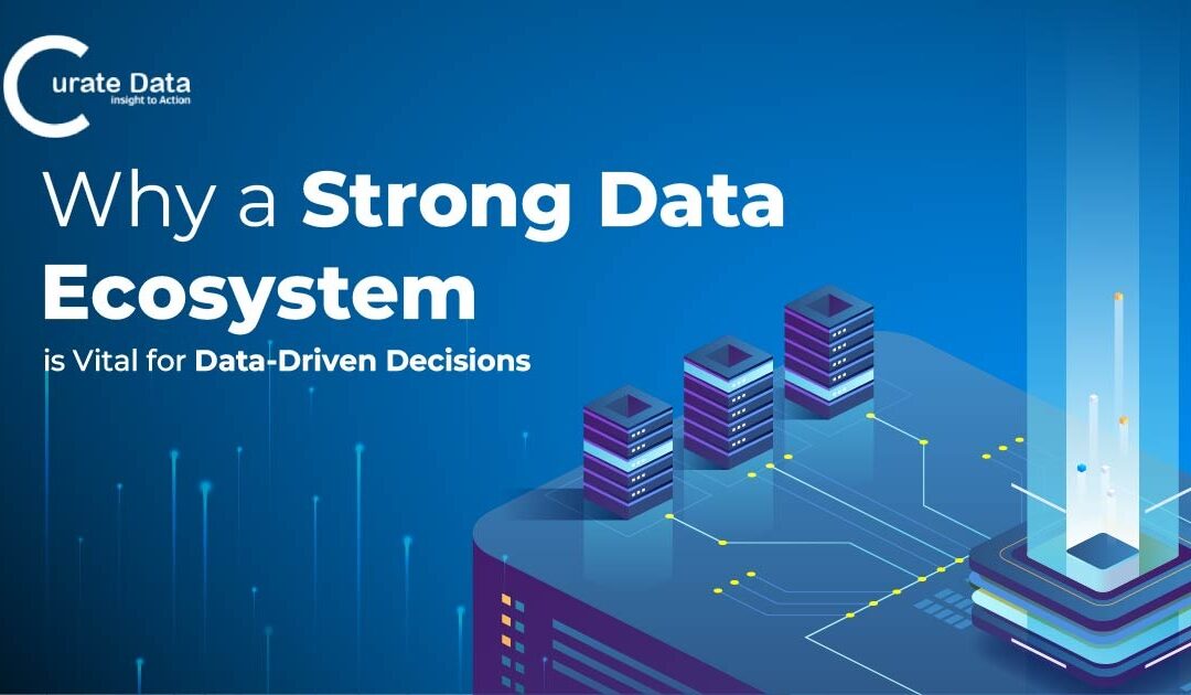 Why a Strong Data Ecosystem is Vital for Data-Driven Decisions